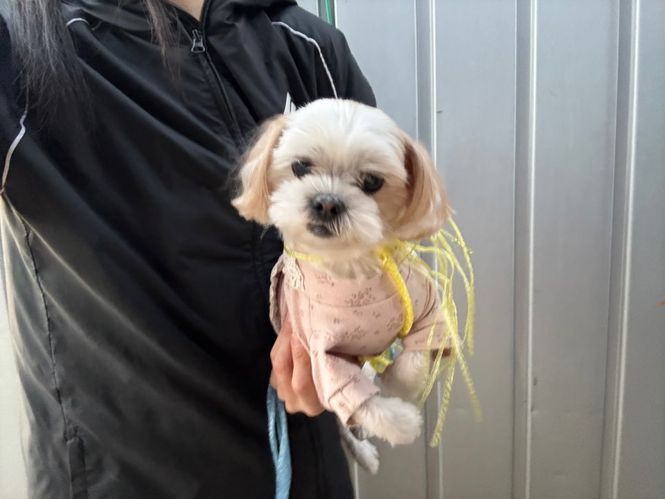 한국야생동물보호협회_441390202500639